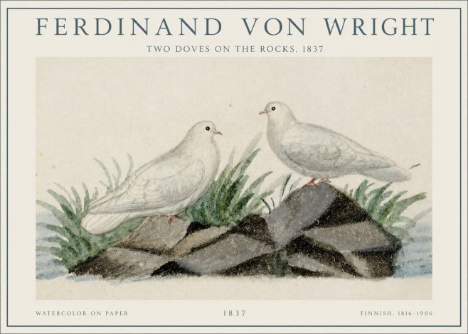 Ferdinand von Wright Two Doves on the Rocks, 1837 No1 - Poster