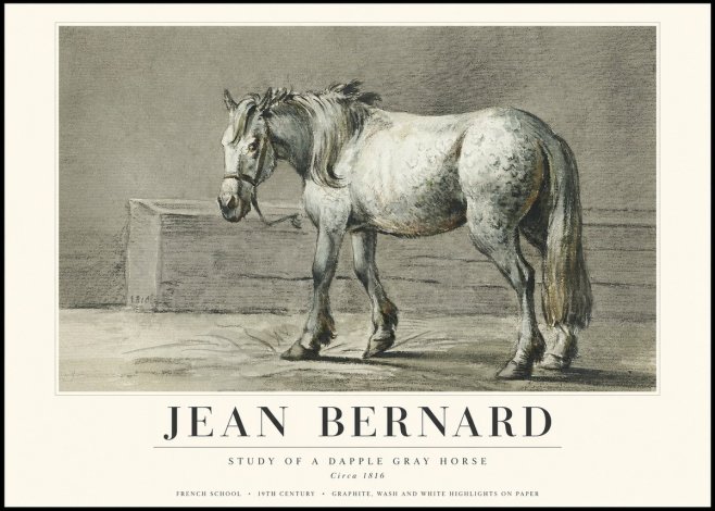 Jean Bernard Study of a Dapple Gray Horse No3 - Poster