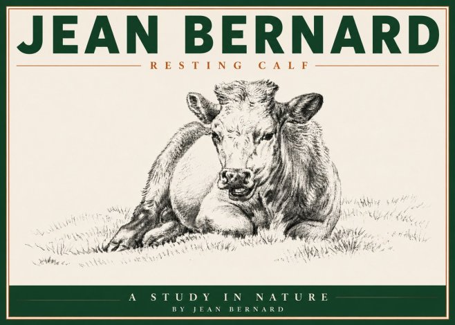 Jean Bernard Resting Calf I No5 - Poster