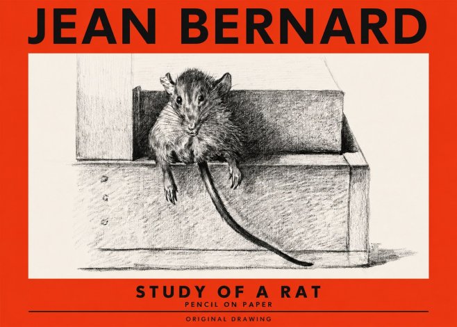 Jean Bernard Study of a Rat I No2 - Poster