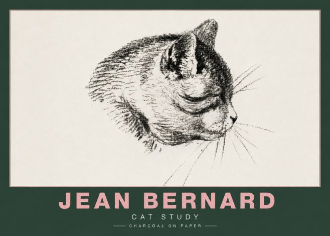 Jean Bernard Cat Study IV No4 - Poster