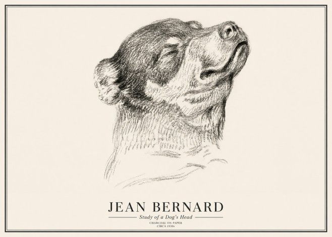 Jean Bernard Study of a Dog III No3 - Poster