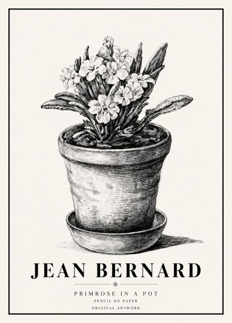 Jean Bernard Potted Primrose No6 - Poster