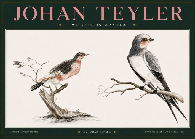 Johan Teyler Two Birds on Branches No3 - Poster