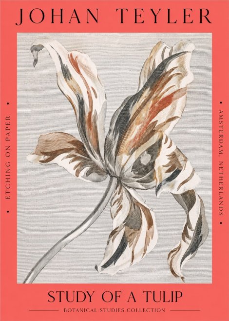 Johan Teyler Study of a Tulip No2 - Poster