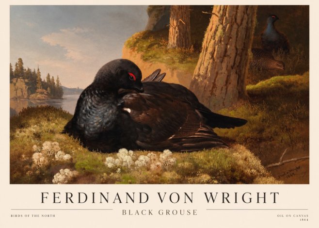 Ferdinand von Wright The Black Grouse No3 - Poster