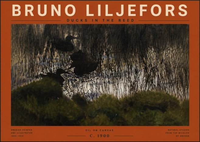 Bruno Liljefors Ducks in the Reed No6 - Poster