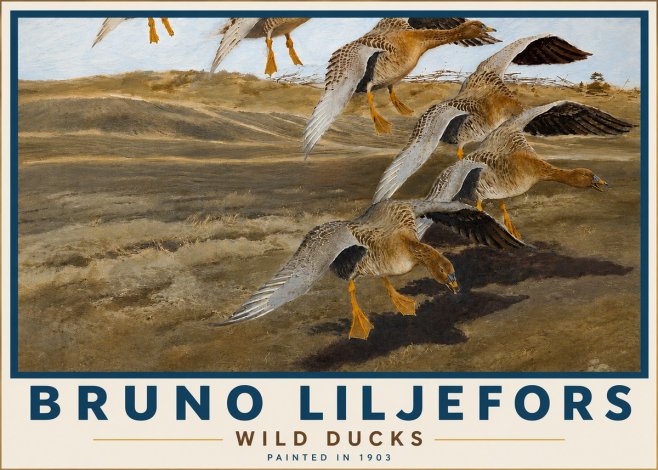 Bruno Liljefors Wild Ducks I No5 - Poster