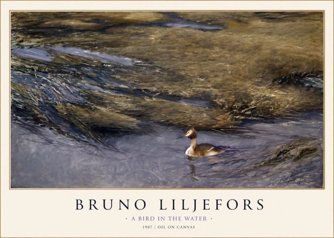 Bruno Liljefors A Bird in the Water No1 - Poster