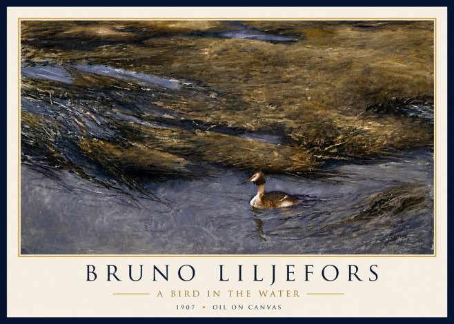 Bruno Liljefors A Bird in the Water No6 - Poster