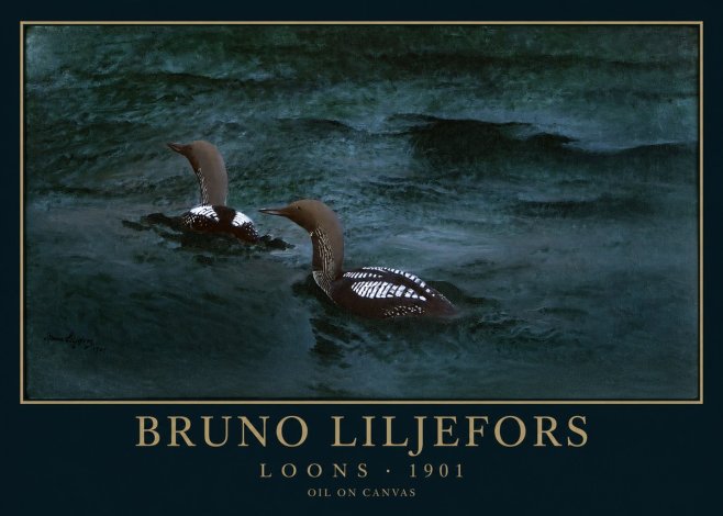 Bruno Liljefors Loons · 1901 No1 - Poster
