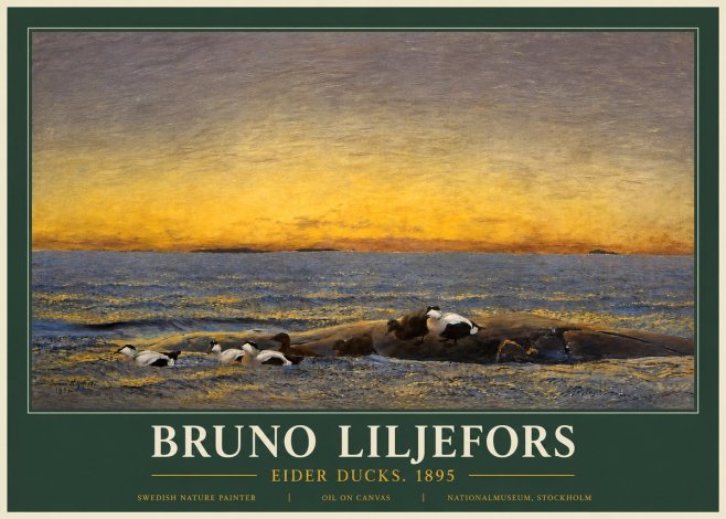 Bruno Liljefors Eider Ducks. 1895 No3 - Poster
