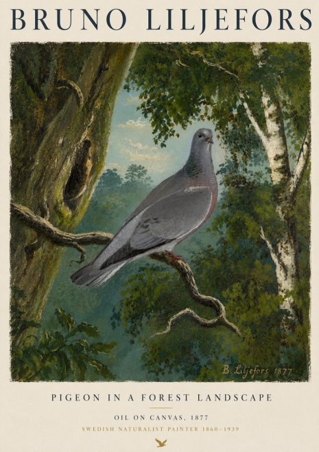 Bruno Liljefors Pigeon in a Forest Landscape No4 - Poster
