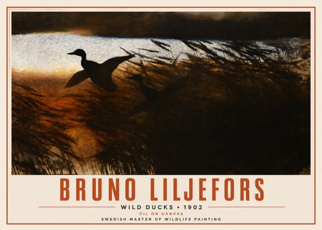 Bruno Liljefors Wild Ducks II No4 - Poster