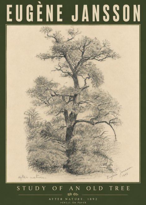 Eugène Jansson Study of an Old Tree No6 - Poster