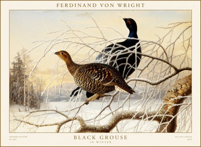 Ferdinand von Wright Black Grouse in Winter No1 - Poster