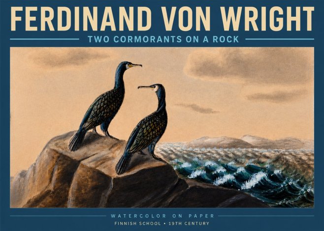 Ferdinand von Wright Two Cormorants on a Rock No3 - Poster