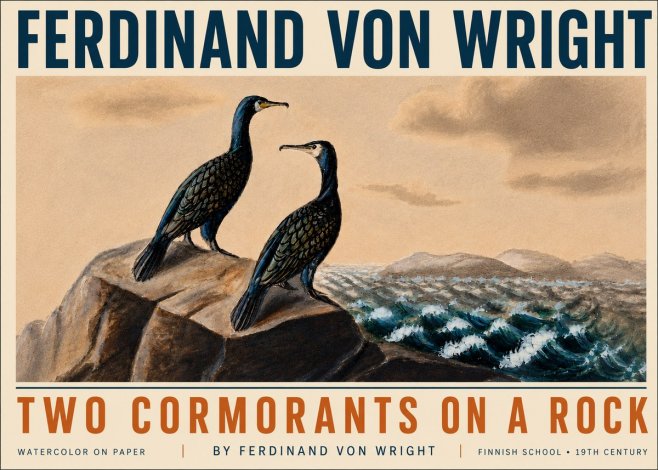 Ferdinand von Wright Two Cormorants on a Rock No5 - Poster