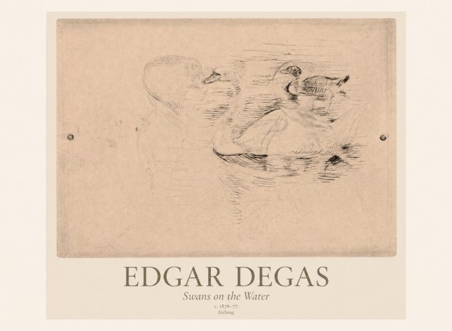 Edgar Degas Swans on the Water No1 - Poster