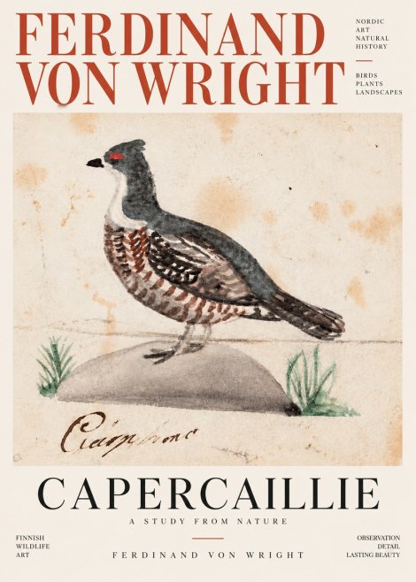 Ferdinand von Wright Grouse No4 - Poster