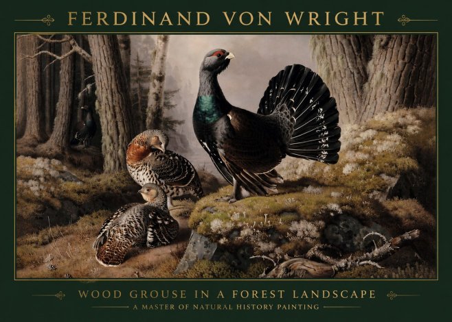 Ferdinand von Wright Wood Grouse in a Forest Landscape No3 - Poster
