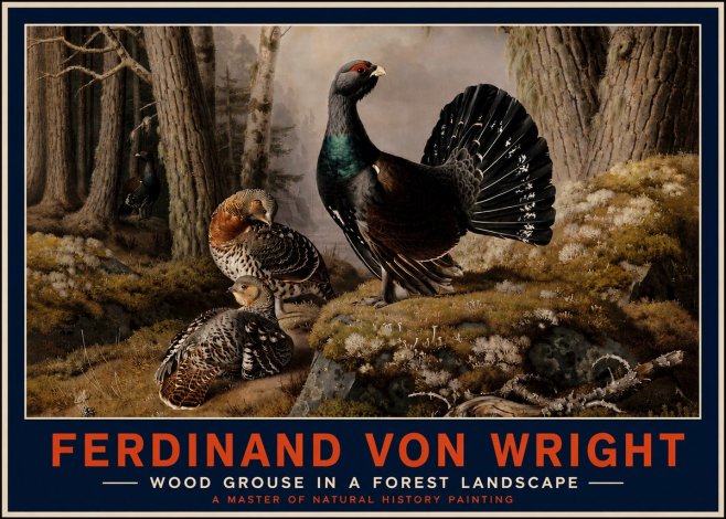 Ferdinand von Wright Wood Grouse in a Forest Landscape No4 - Poster