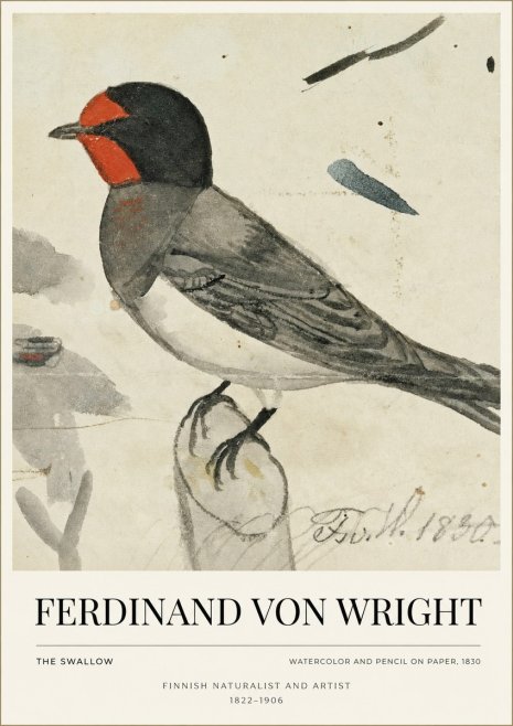 Ferdinand von Wright The Swallow No1 - Poster