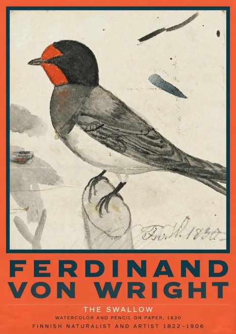 Ferdinand von Wright The Swallow No2 - Poster