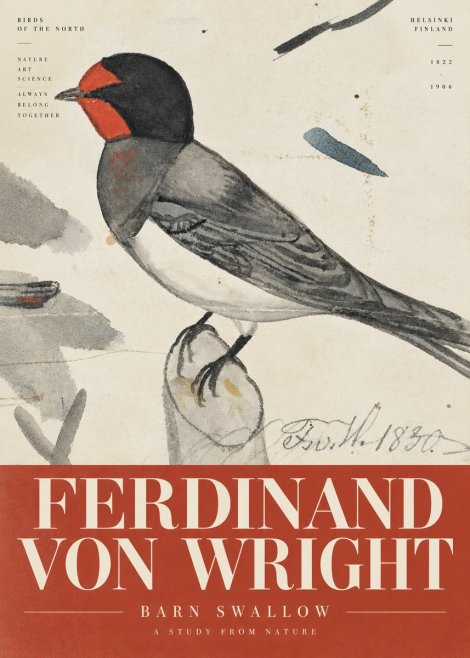 Ferdinand von Wright The Swallow No6 - Poster