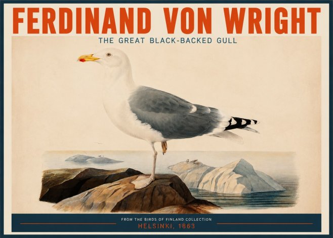 Ferdinand von Wright The Great Black-backed Gull No2 - Poster