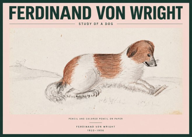 Ferdinand von Wright Study of a Dog No2 - Poster
