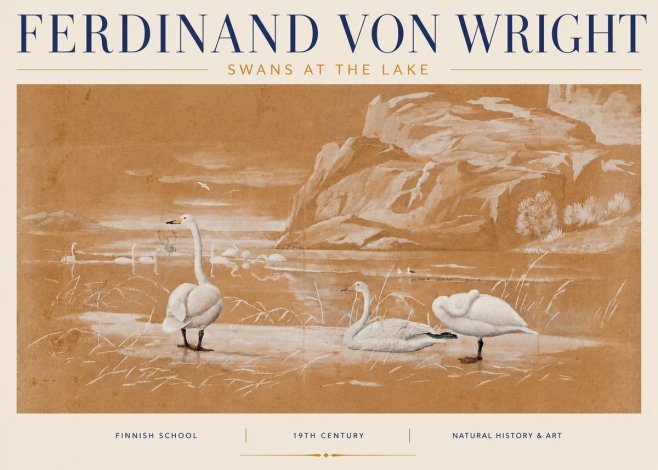Ferdinand von Wright Swans at the Lake No4 - Poster