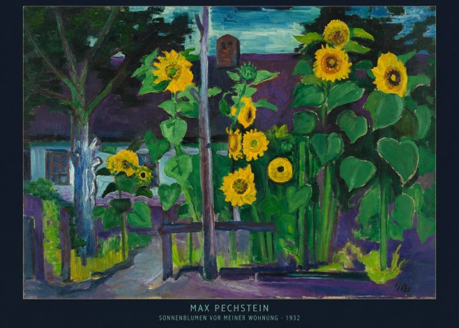 Max Pechstein Sonnenblumen Vor Meiner Wohnung No6 - Poster