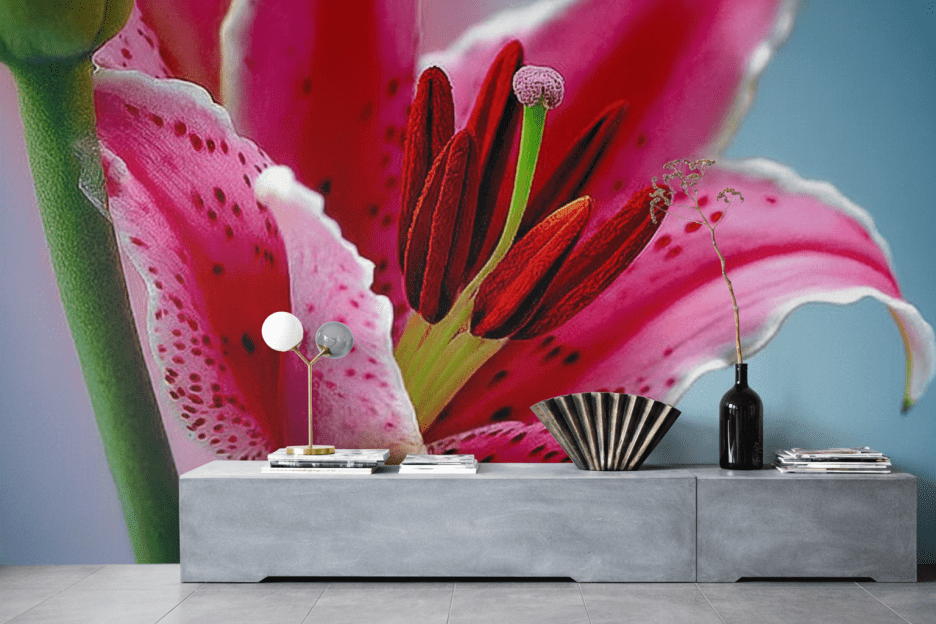 Velvet Petal Embrace