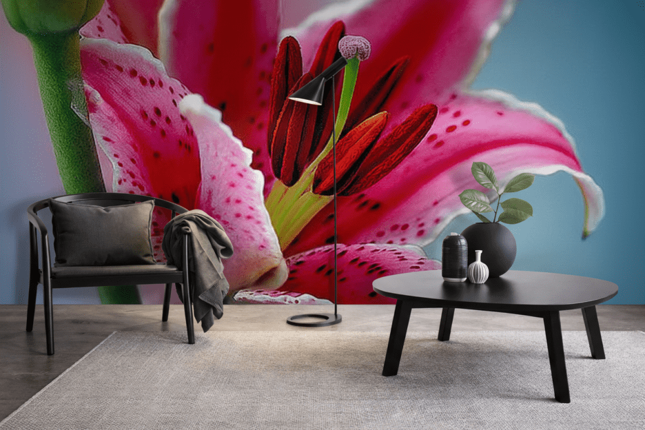 Velvet Petal Embrace