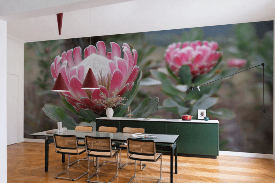 Protea Bloomscape