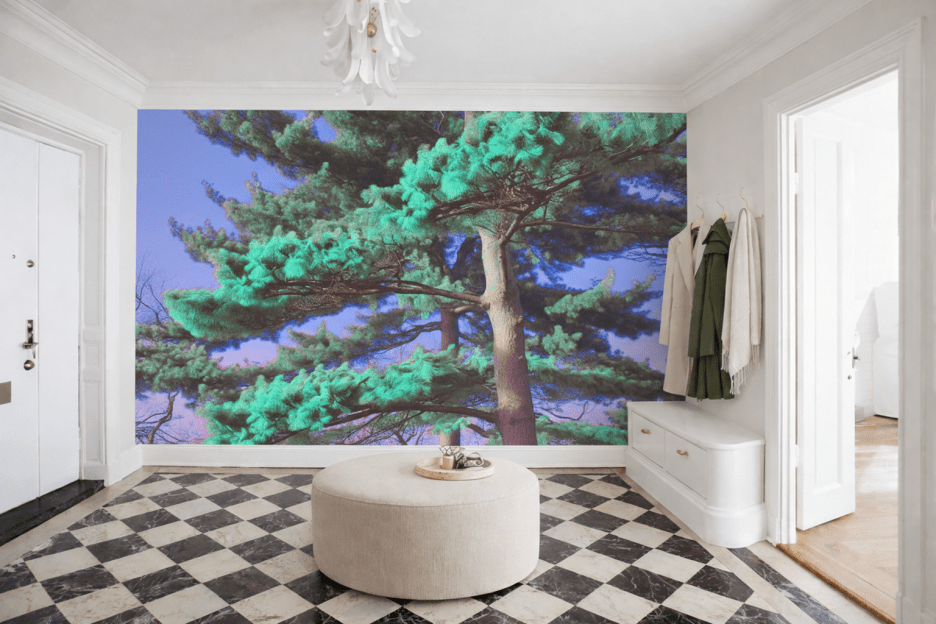 Emerald Canopy