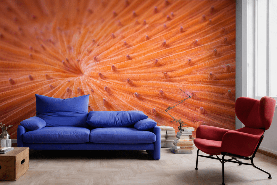 Oceanic Sunrise Burst