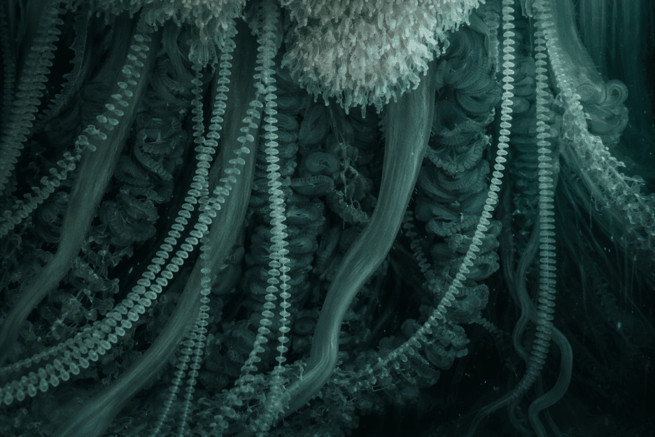 Tide S Whisper
