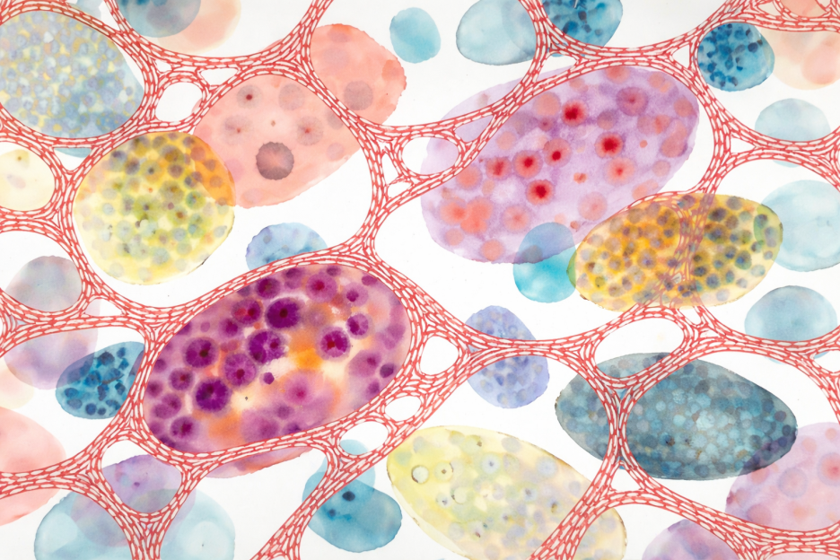 Textured Porcelain Formation