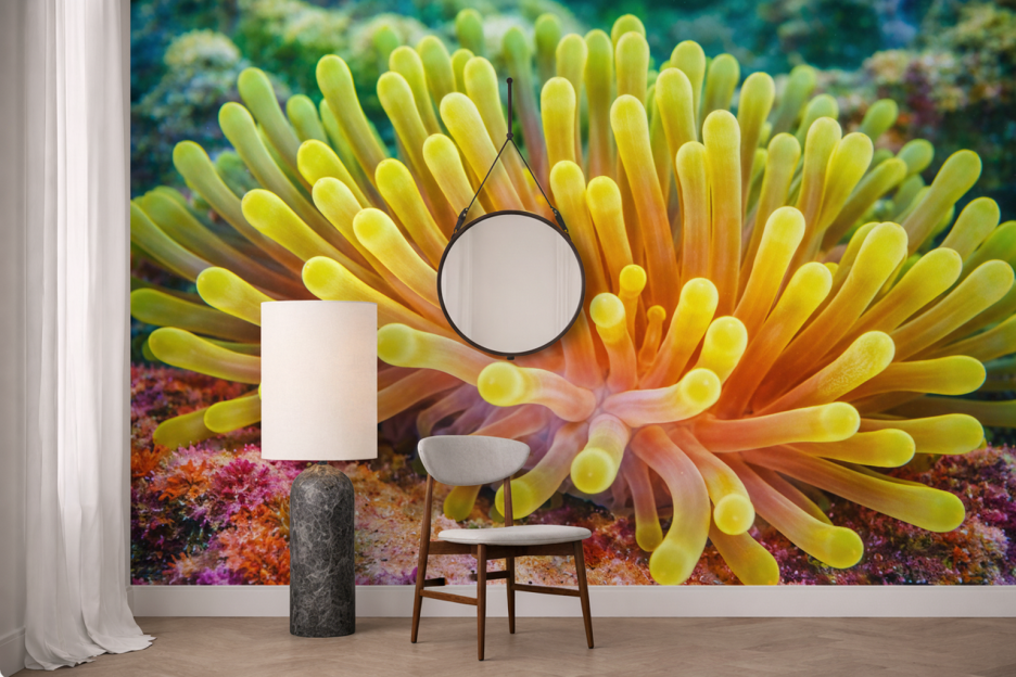 Amber Anemone Garden