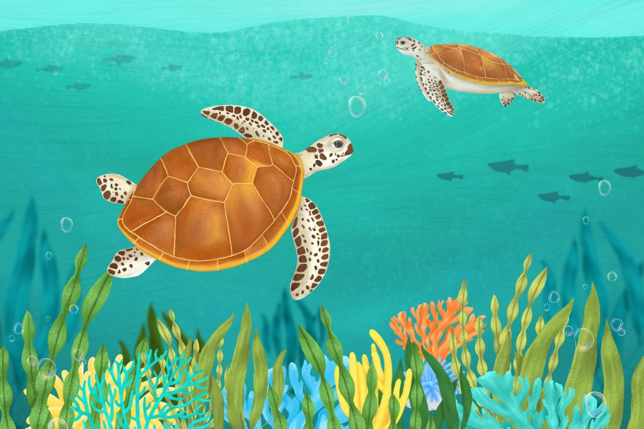 Lagoon Turtlescape