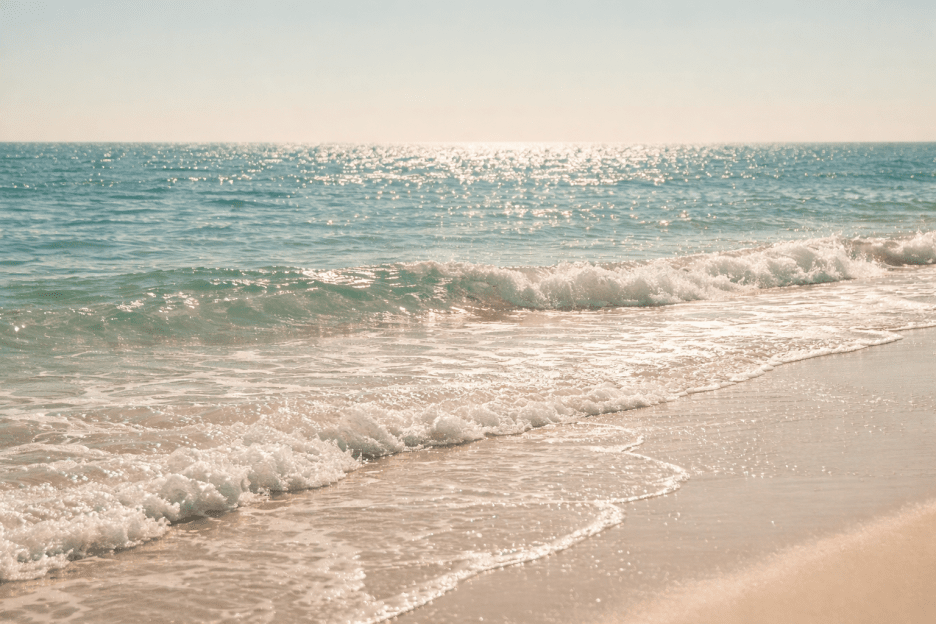 Glistening Shoreline