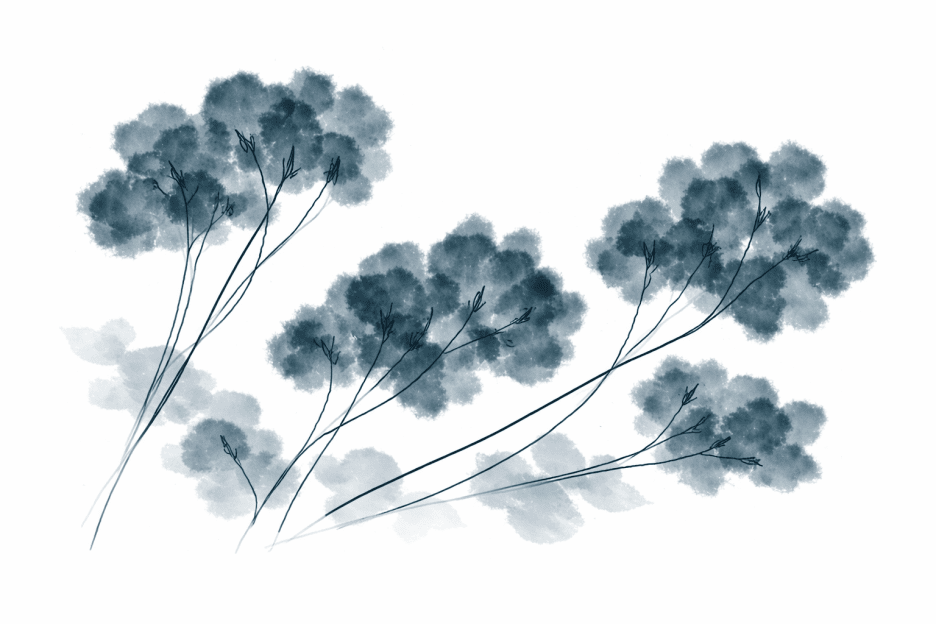 Kelp Blossom Vignettes