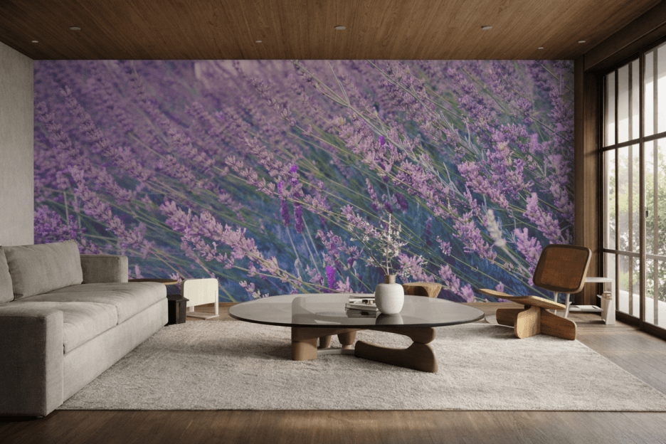 Lavender Fields