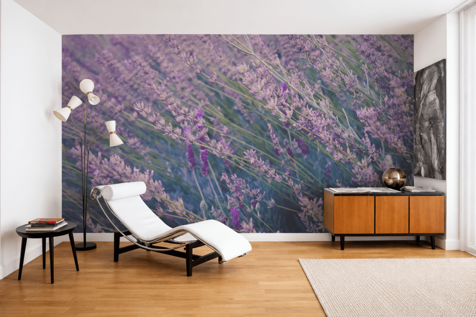Lavender Fields