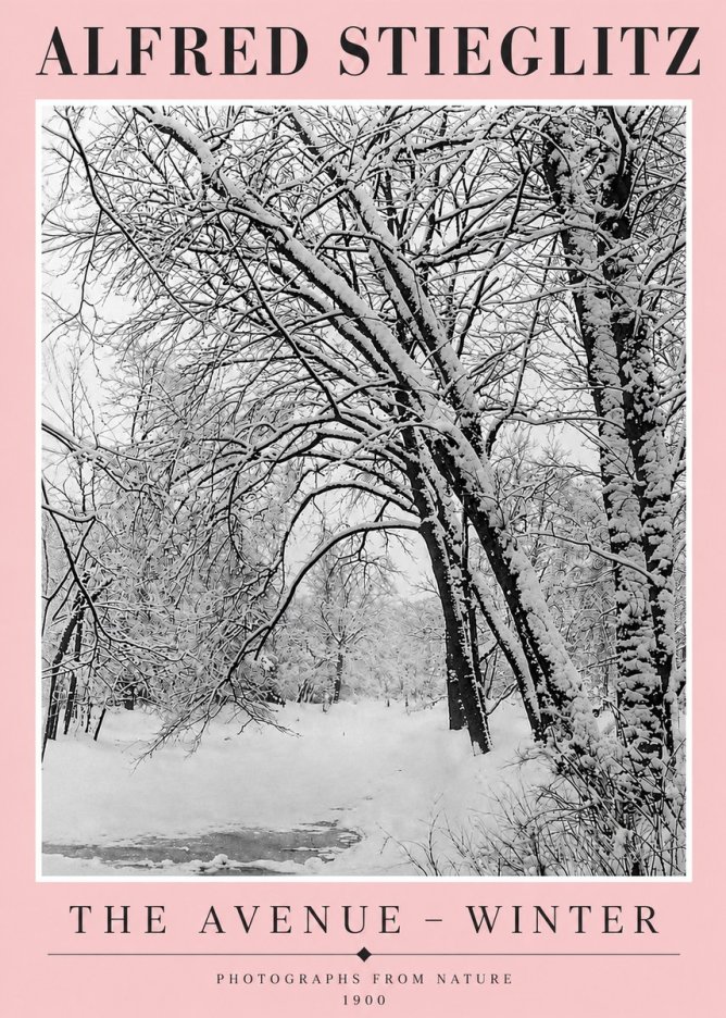 Alfred Stieglitz The Avenue – Winter No4 - Poster
