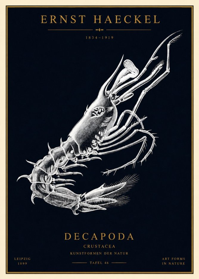 Ernst Haeckel Decapoda the Crustaceans No4 - Poster