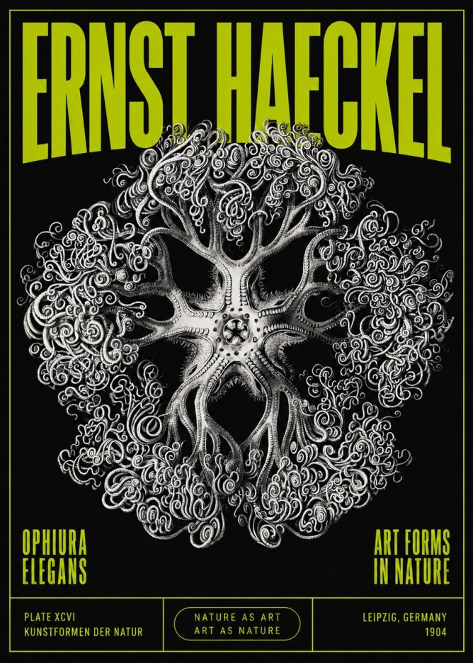 Ernst Haeckel Ophiuroidea Sea Tree - Deep Sea No5 - Poster