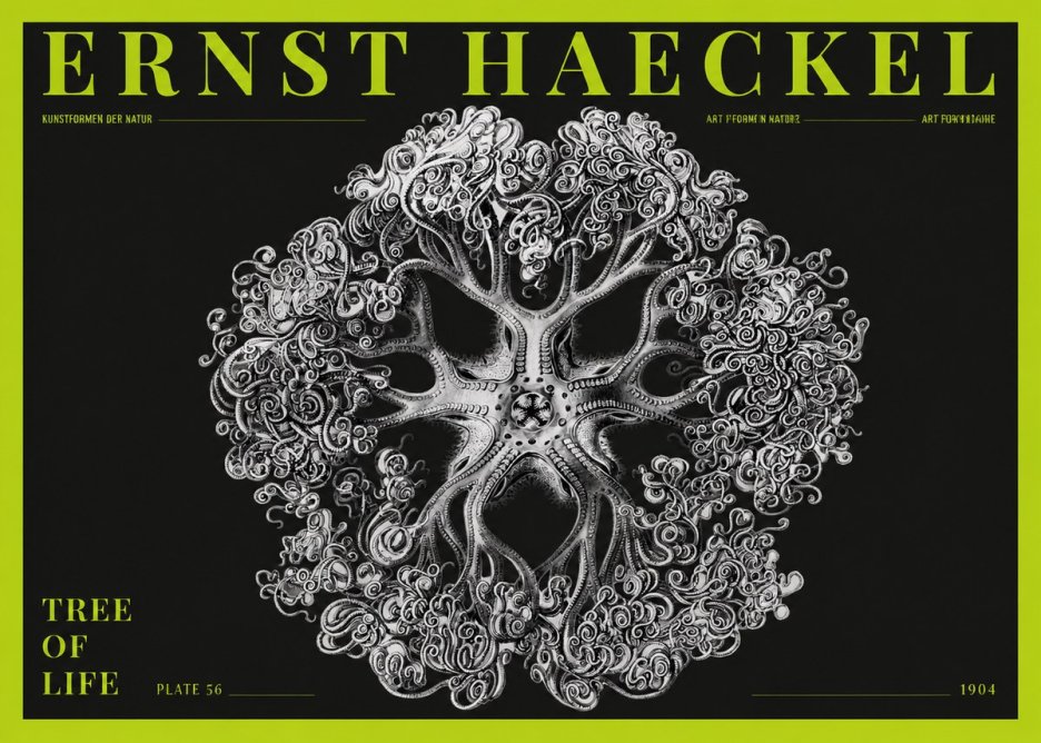 Ernst Haeckel Tree-like Organism No5 - Poster